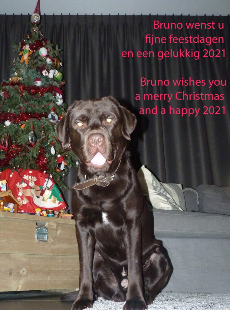 De fijne feestdagen en een gelukkig nieuwjaar..