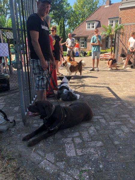 Baby doodgebeten door hond in Emmeloord, OM doet onderzoek