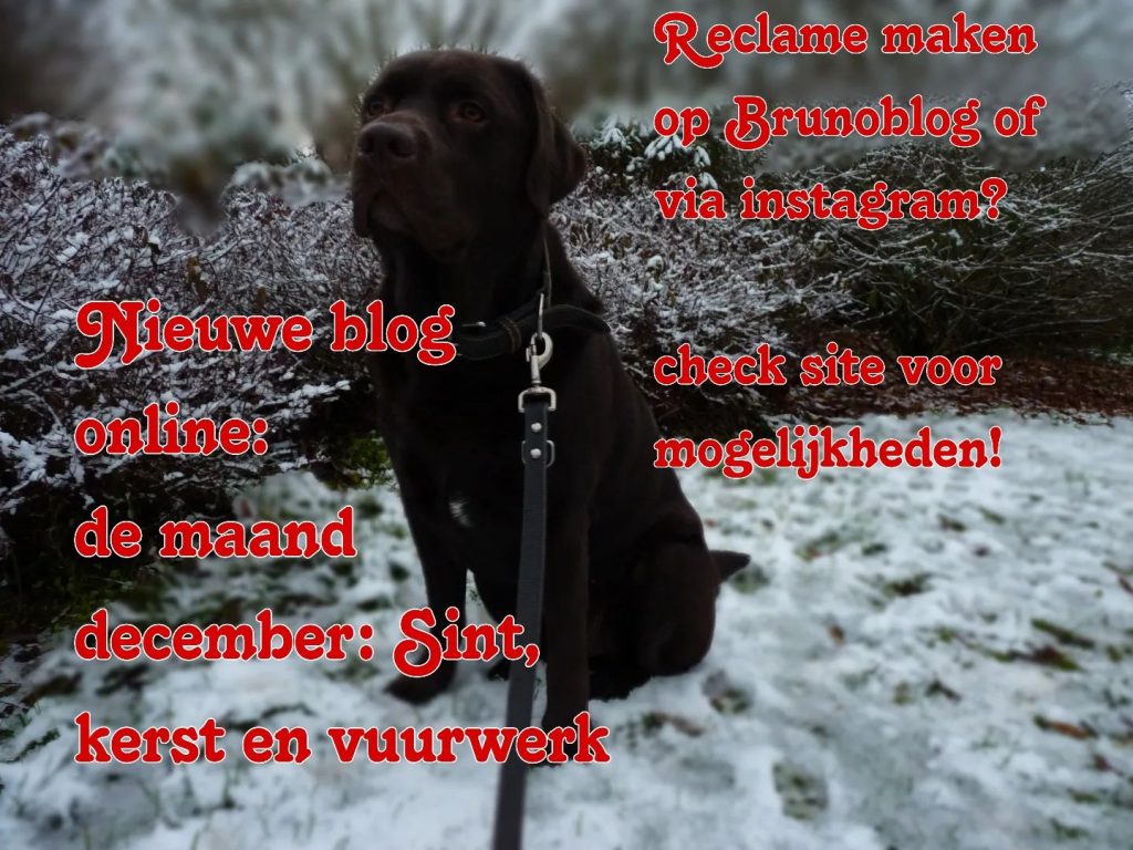 nieuwe-blog-online-de-maand-december-sint-kerst-en-vuurwerk