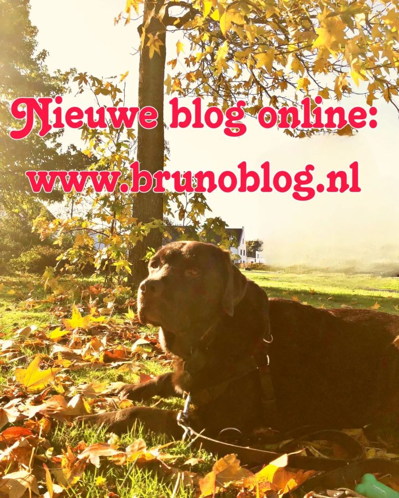 nieuwe-blog-online-link-in-bioop-vakantie-deel-ii-het-park