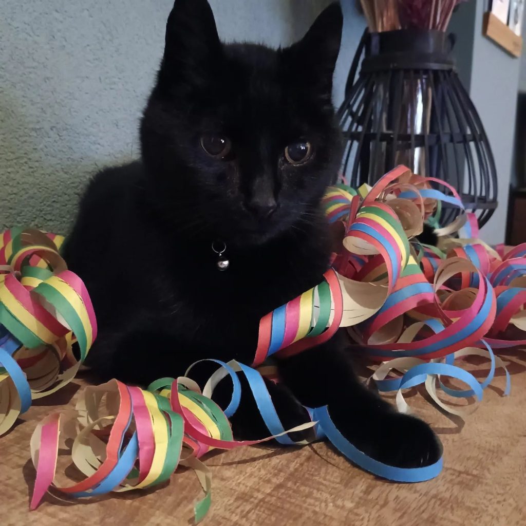 ook-charlie-heeft-zijn-carnaval-feestjefijnfisjenie-carnaval