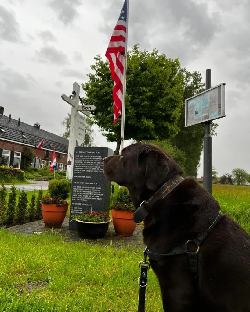 lest-we-forgetdodenherdenking-4en5mei-canada-amerika-nat